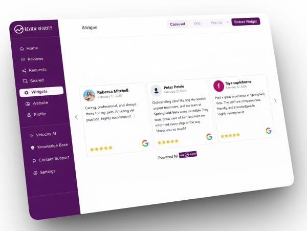 Review Velocity dashboard with reviews from Google, Facebook and Tripadvisor